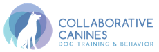 Collaborative Canines Dog Training & Behavior Official logo